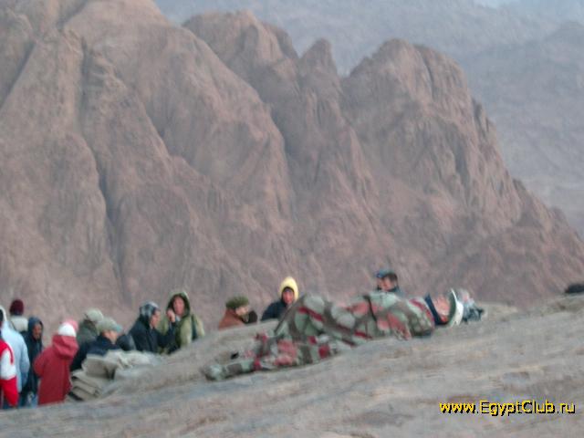 ���������� ������