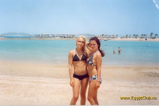 ������ ����� DESERT ROSE