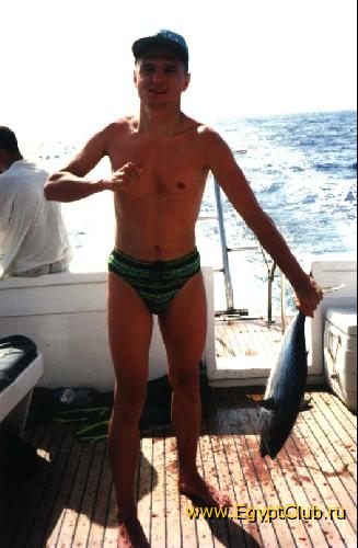 � ��������� ���������� ��������...