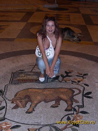 �������, ������