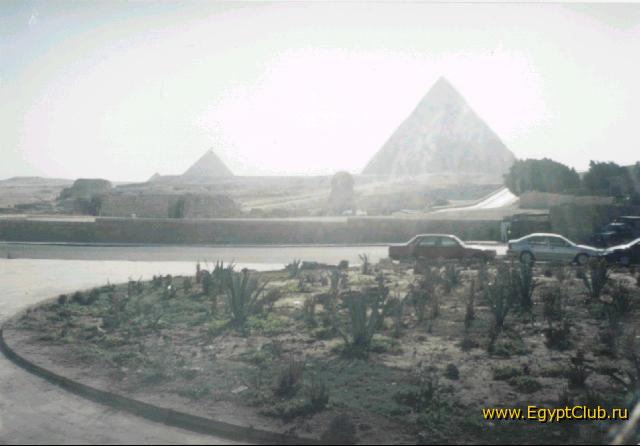 ����- ��������