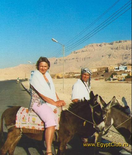 Cherez palmovie roschi v Dolinu Carey