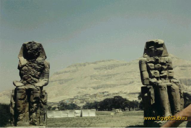 ������ (1)