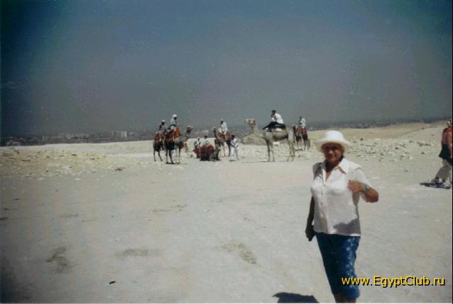 ����, � �������� �������