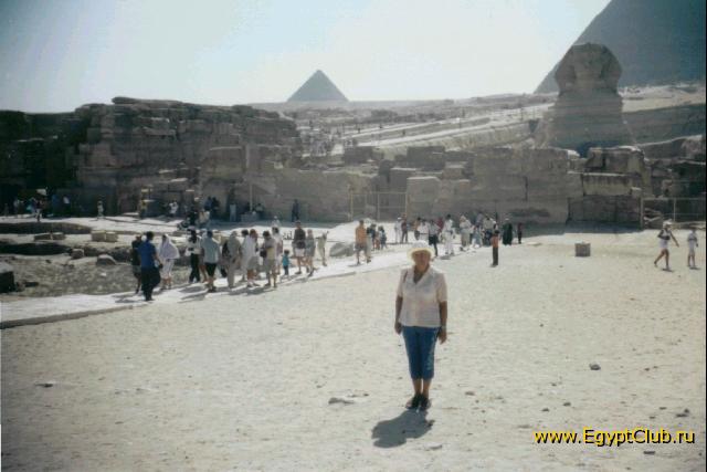 ������ (2)