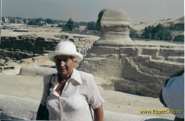 ������ (3)