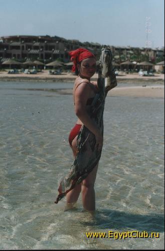 ������ ������