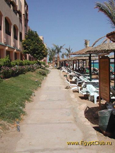 SunRise ������� ����� ��������