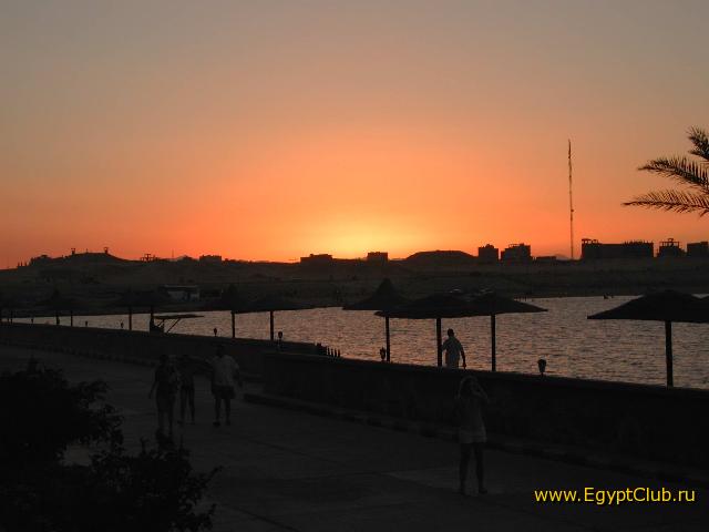 SunRise �����