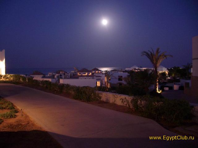 ������ �������