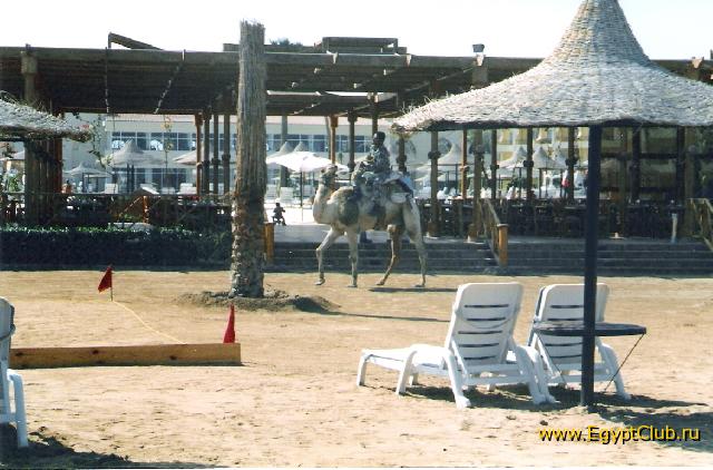 ������� �� �����