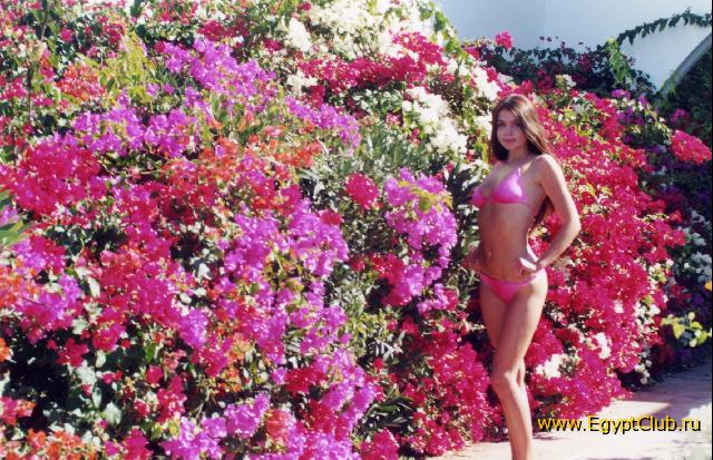 �������