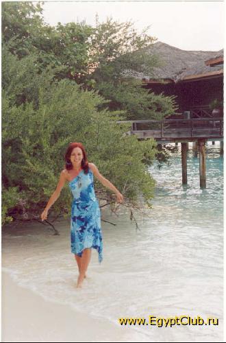 �� ������