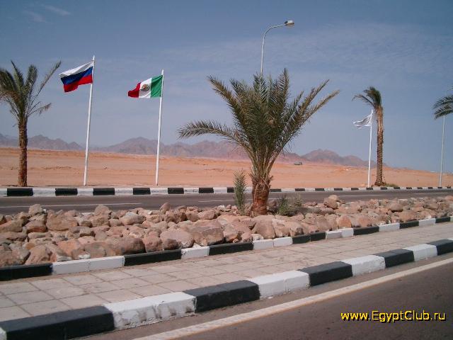 ������� ������ �����