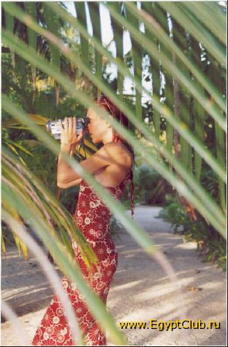 �����-��������