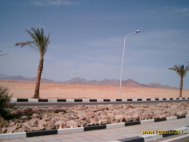 �� ����� �������� �� ������ �������