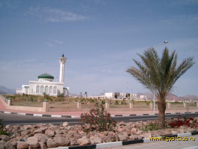 ������ � �����