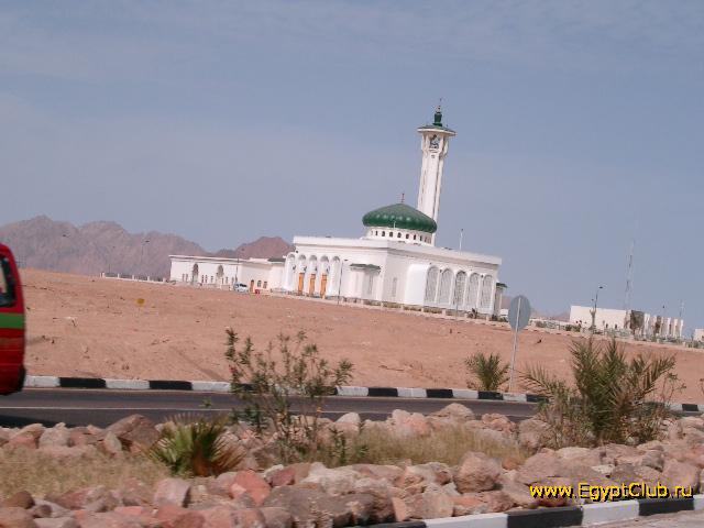 ������ � �����