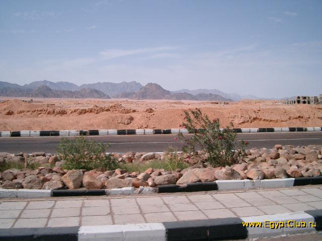 �������� ������� ����-���-�����