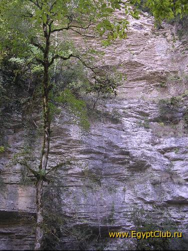 � �� ������ ������ �������