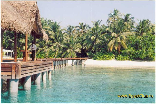 ������ ��������