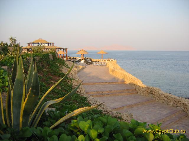 ����� ���