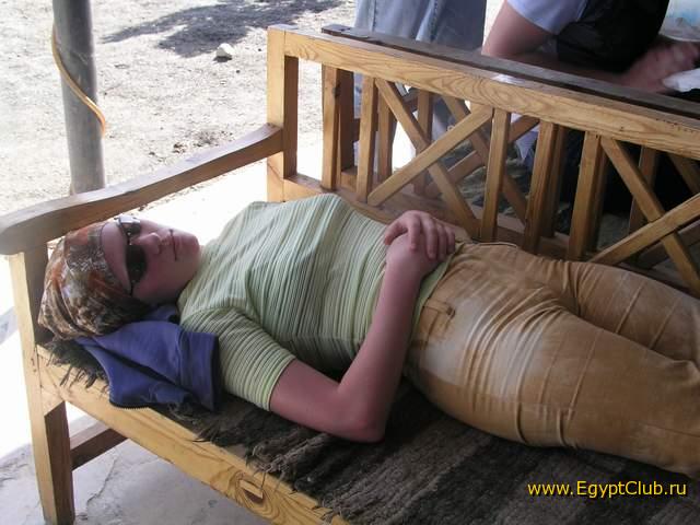 ����������