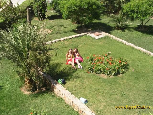 ��� ������ ��� �����