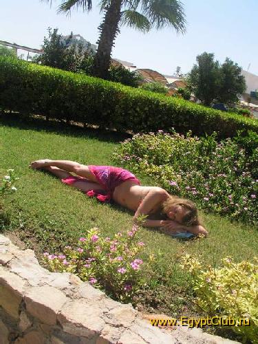 ������....