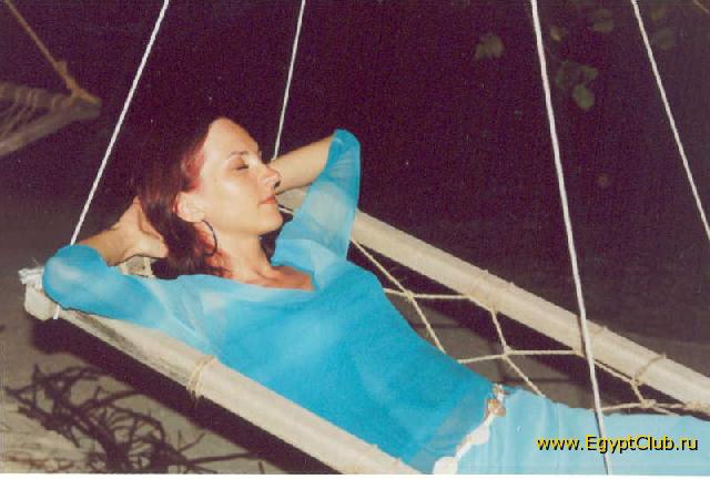 � ������