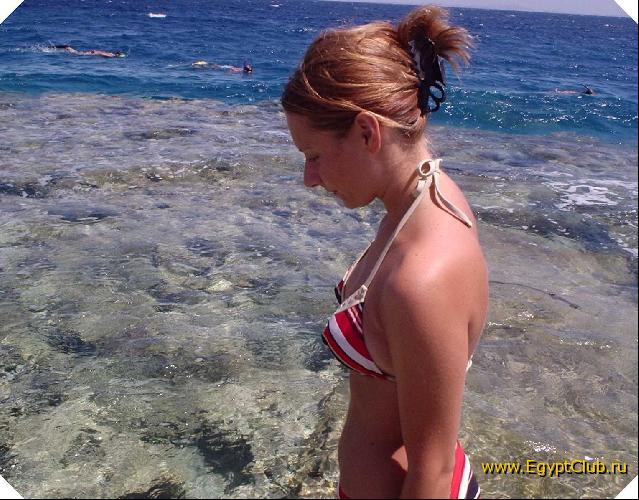 ������� �������