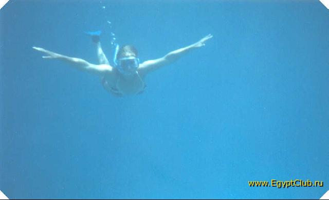 ��� ����� 1