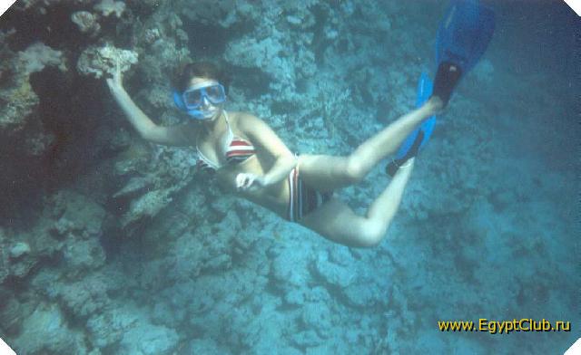 ��� ����� 2