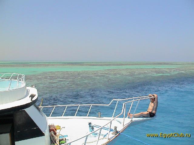 ������� ����