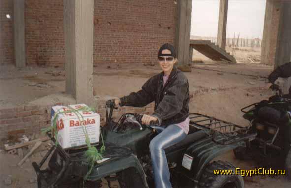 ����������