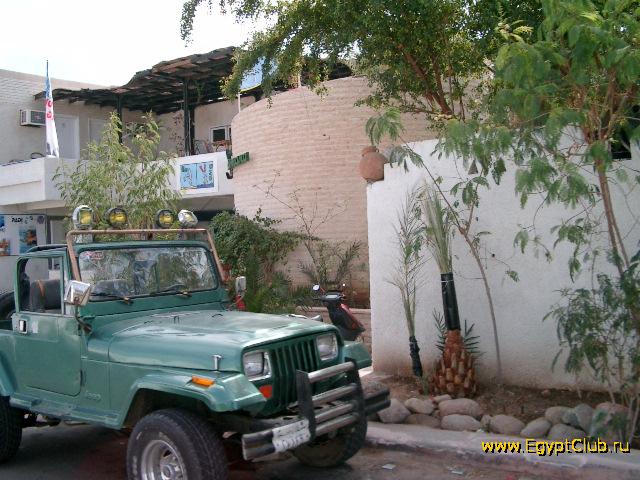 �������� ����