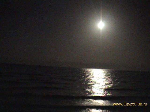 ����� ���������� - ��� ������- ���������