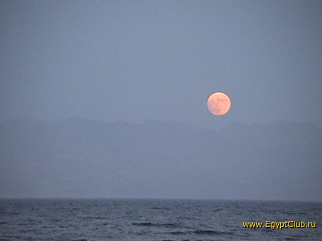 ��� ������ .�������� - ���������� ������