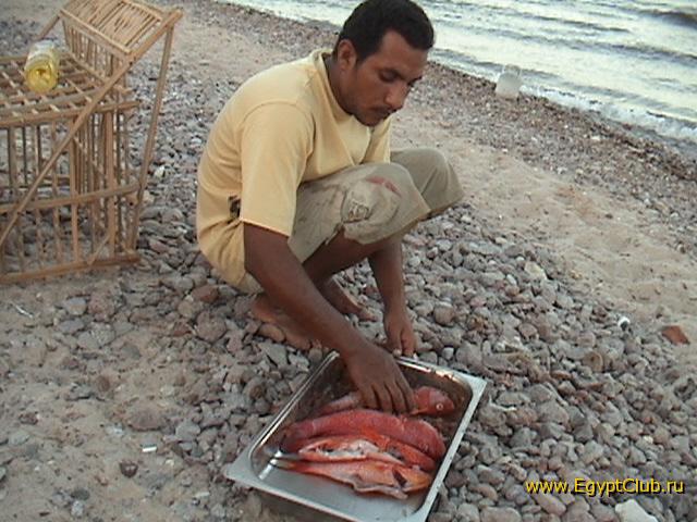 ��� �������� ��� ���� - ��� ������