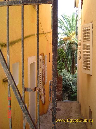 ����������