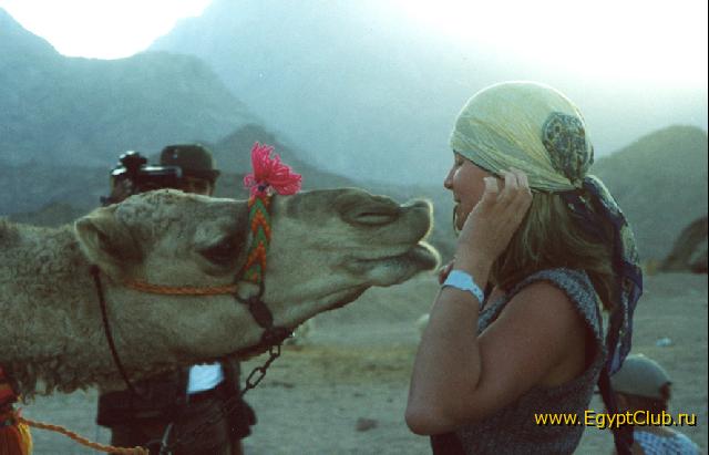 ��������� �������:)))