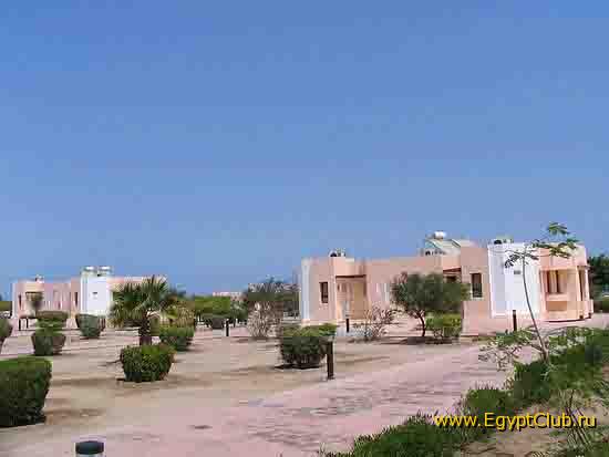 ����� �������� 2004