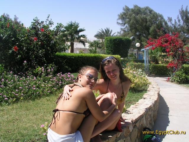 ��� ���� ���� ������� ������