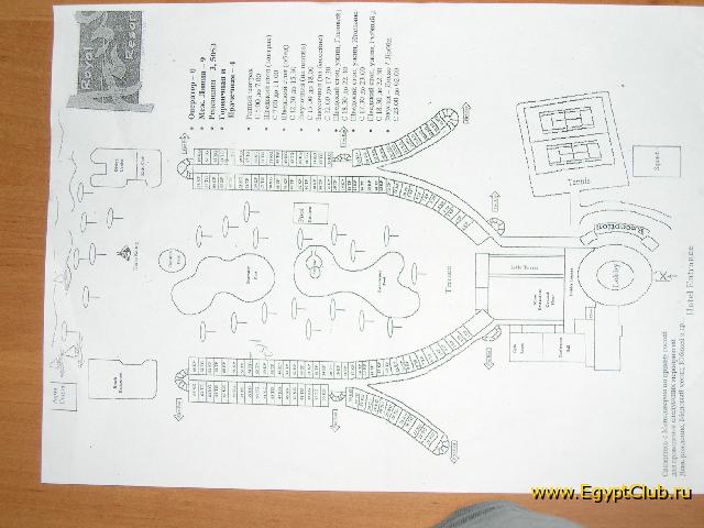 ����� �����