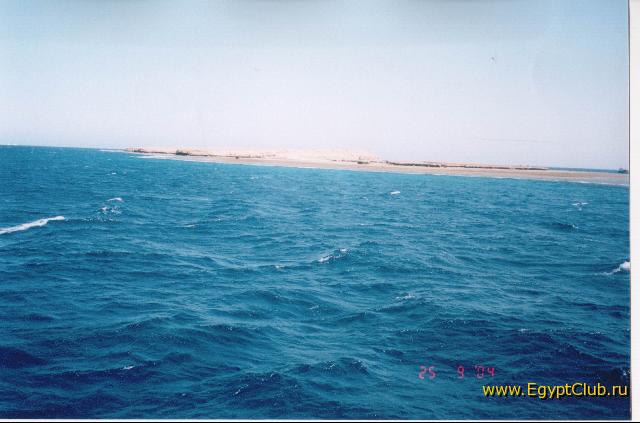 ����� ����