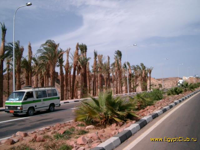 ������ � ������ ����