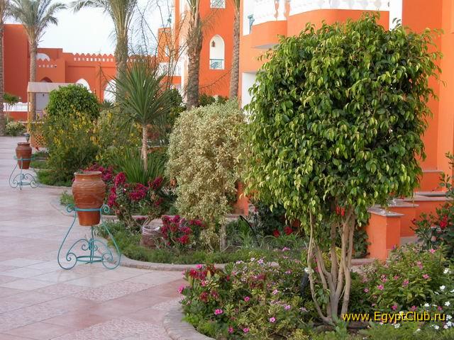 Sun Rise Garden Beach