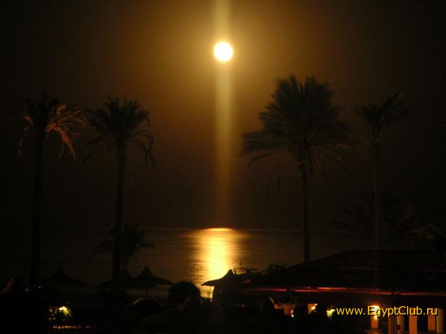 ������ ����