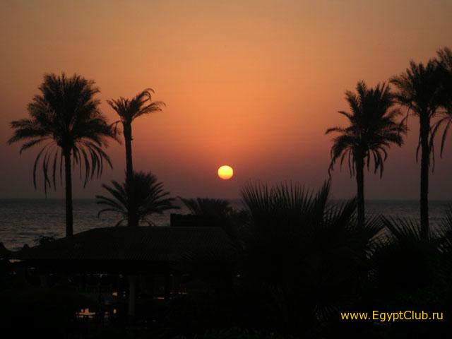 ������ ��� �����