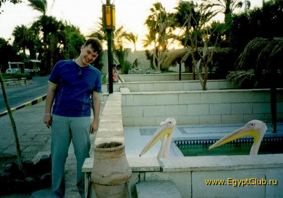 � ����������...